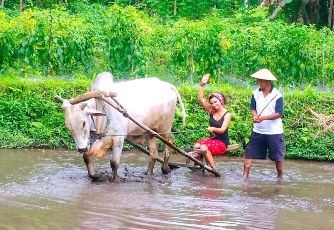  4 Destinasi Edukasi yang Bisa Dijelajahi Selama Liburan di Yogyakarta